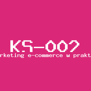 Marketing e-commerce w praktyce